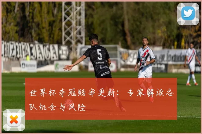 世界杯夺冠赔率更新：专家解读各队机会与风险
